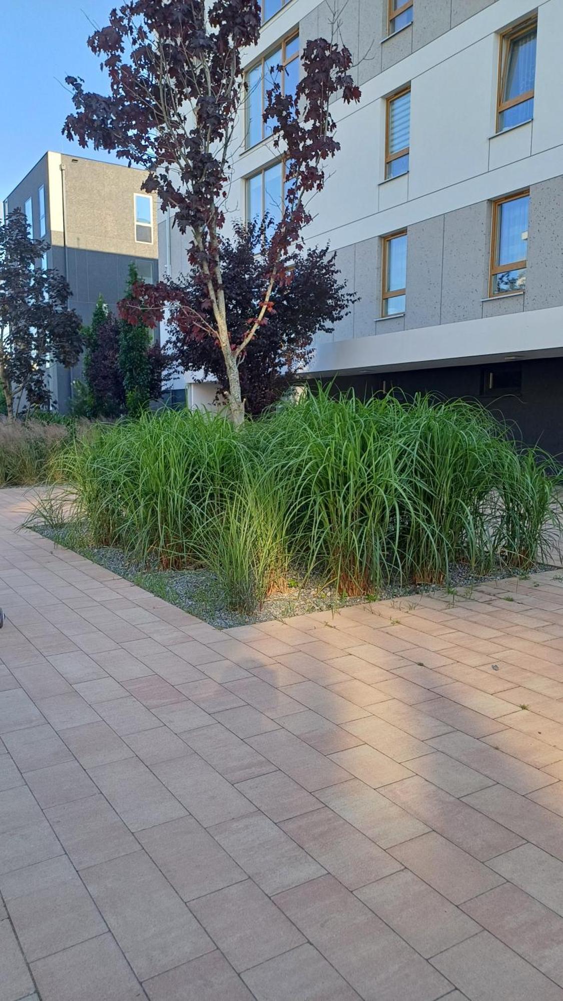 Apartament Davima Aquapark Rumia - Novum Exteriör bild